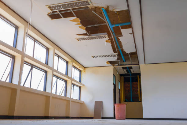 Best Water damage cleanup near me  in Hesperia, CA