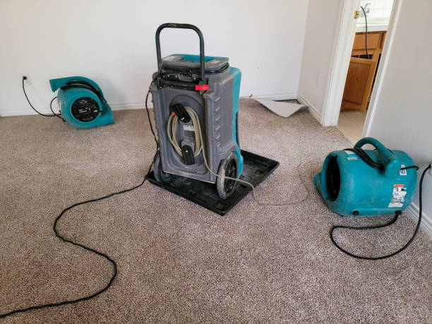 Best Water damage restoration cost  in Hesperia, CA